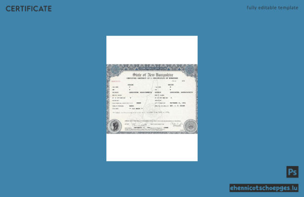 USA New Hampshire Beispiel einer Heiratsurkunde